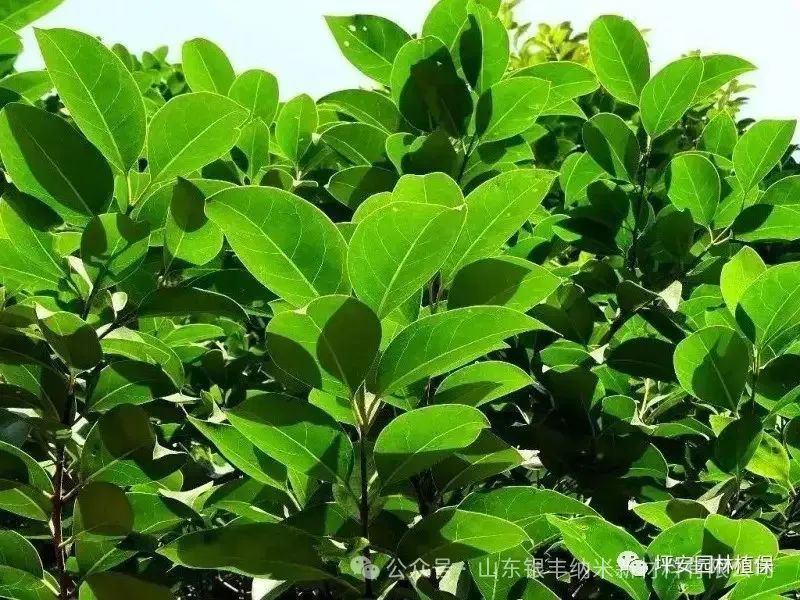 2345_image_file_copy_8.jpg 2345_image_file_copy_8.jpg